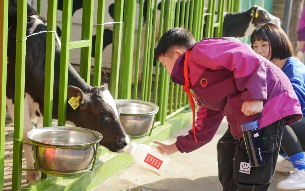 不負春光，快樂成長——洛陽東外小學(xué)部三年級研學(xué)旅行