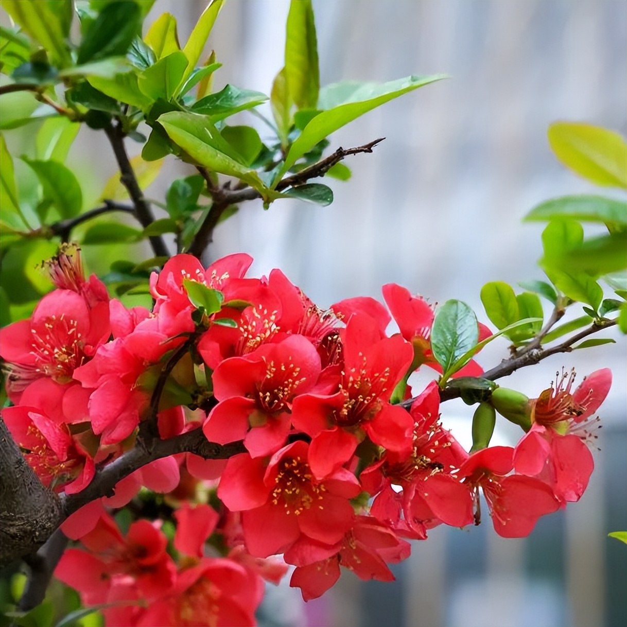 繁花似錦綻校園，核檢護(hù)航保平安